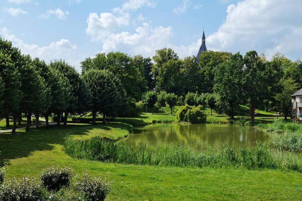 Maison Centre De Bellegarde Avec Jardin Et Terrasse Equipee D'Un Salon De Jardin Et D'Un Barbecue Cuisine Equipee 3 Chambres Avec 2 Lits Double 140X190 Et 2 Lits Simple Chauffage Poele A Granules Parking Gratuit Devant La Maison Bellegarde-du-Loiret Exteriör bild